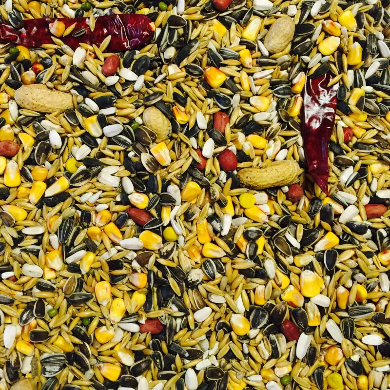 Bucktons Elite Parrot 12.75kg-1